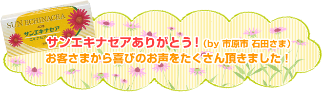  サンエキナセアありがとう！（by 市原市 石田さま） お客さまから喜びのお声をたくさん頂きました！ 